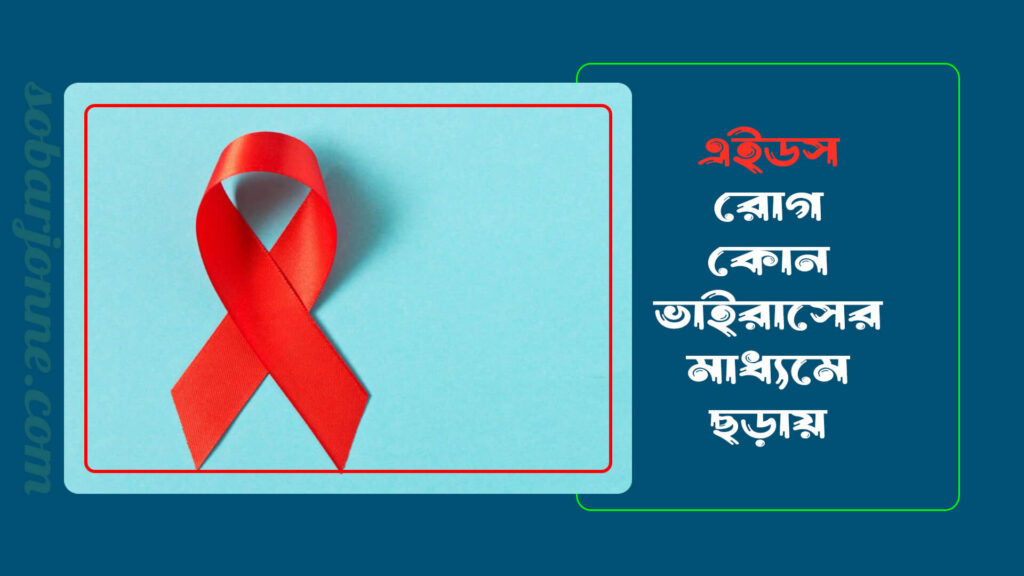 08cb17ea4a38 1024x576