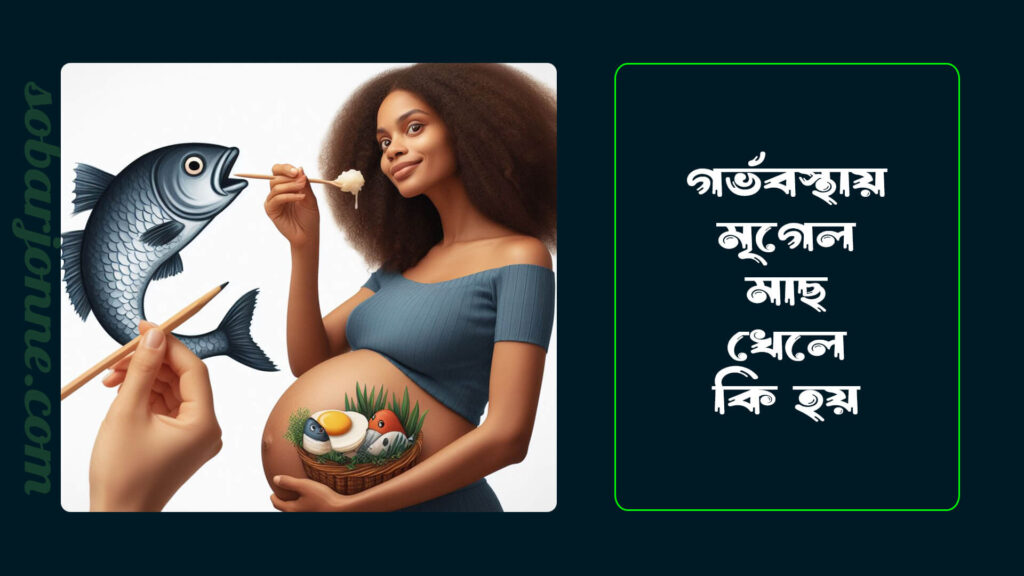 গর্ভাবস্থায় মৃগেল মাছ খেলে কি হয় 0 1024x576