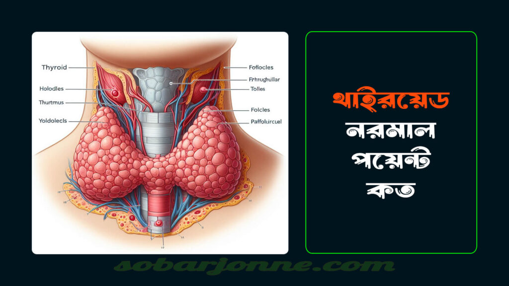 থাইরয়েড নরমাল কত পয়েন্ট 0 1024x576