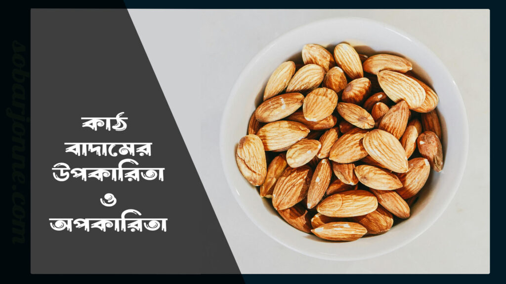কাঠ বাদামের অপকারিতা 0 1024x576