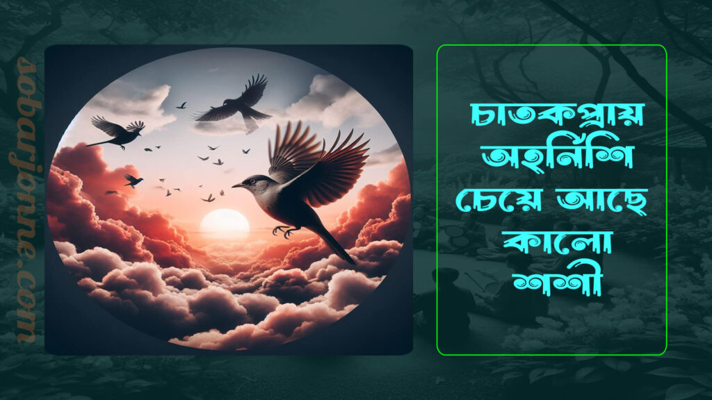 346eaf93f3c6 1024x576