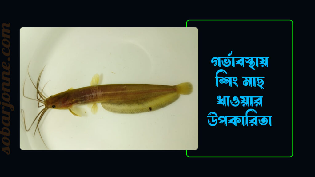 7a0dc1f78eb2 1024x576