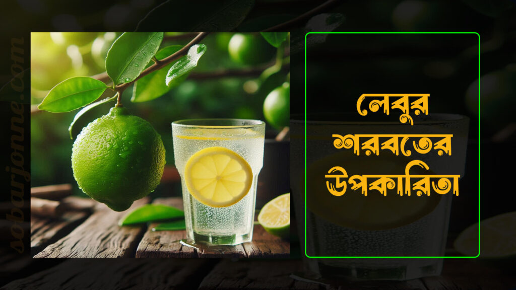 লেবুর শরবতের উপকারিতা 0 1024x576