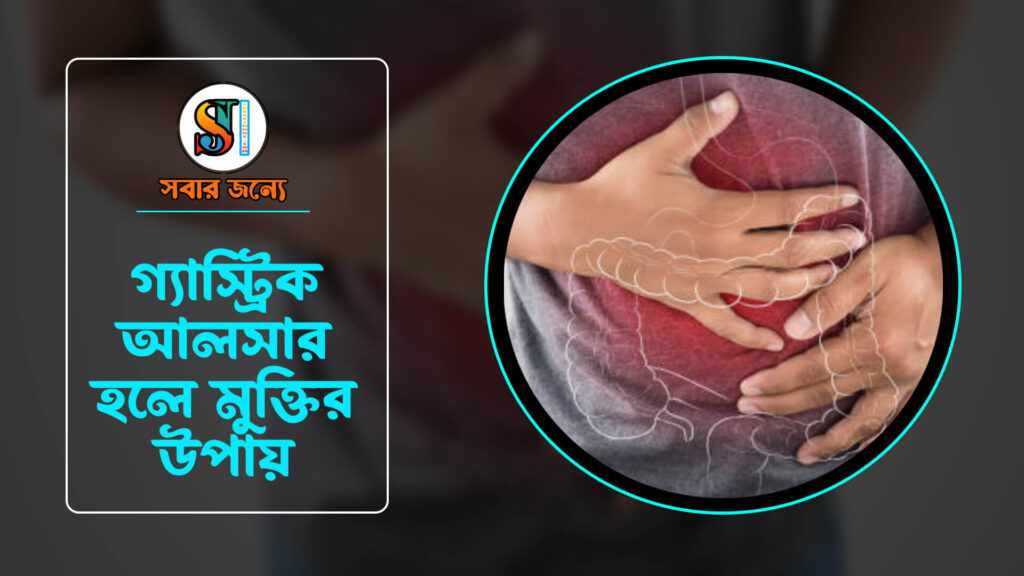 66a73433a33b 1024x576