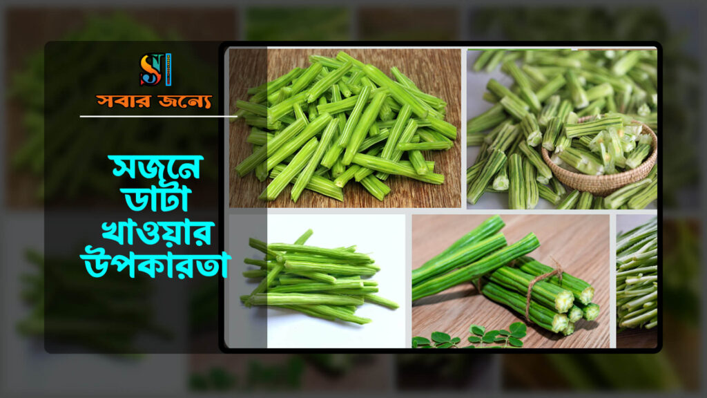 সজনে ডাটা খাওয়ার উপকারিতা 0 1024x576